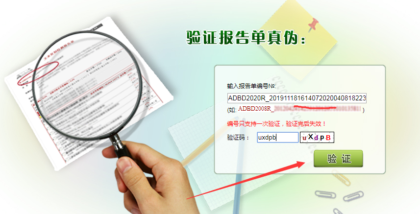 真伪验证编码输入